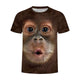 3D Graphic Printed Short Sleeve Shirts Baby Orangutan