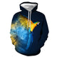 3D Graphic Printed Hoodies Parrot