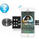 PORTABLE BLUETOOTH KARAOKE