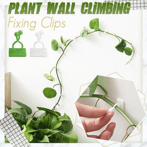 Plant Wall Climbing Fixing Clips