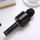 PORTABLE BLUETOOTH KARAOKE